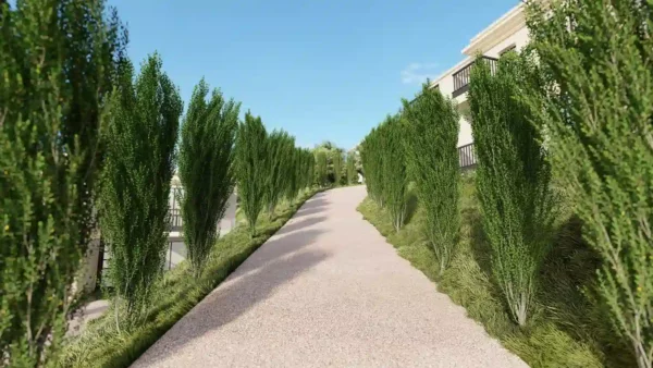 Ilex-crenata-houx-crénelé-3D-allée-arbre-plante-jardin-arbuste-vegetaux-studio-l4m-lumion-fbx