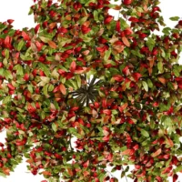 PHOTINIA-FRASERI-3D-plante-vegetaux-Photinie-de-Fraser-ensemble-studio-l4m-lumion-fbx