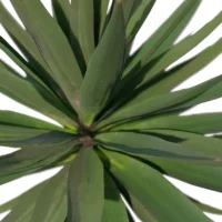 Agave-Sisalana-Sisal-vert-feuilles-top-3D-plante-vegetaux-studio-l4m-lumion-fbx