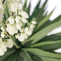 Agave-Sisalana-Sisal-vert-fleur-top-3D-plante-vegetaux-studio-l4m-lumion-fbx