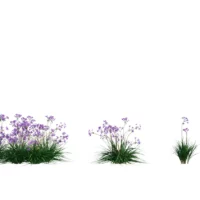 Allium-Sativum-Ail-vert-3D-variantes-plante-fleur-aromate-vegetaux-studio-l4m-lumion-fbx