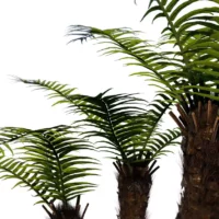 Brainea-insignis-tree-fern-3D-trio-tree-tropical-vegetal-studio-l4m-lumion-fbx