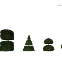 euonymus-japonicus-fusain-du-Japon-3D-variantes-arbre-plante-buisson-jardin-taillé-arbuste-vegetaux-studio-l4m-lumion-