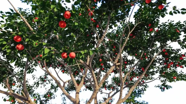 Malus-pumila-commun-pommier-3D-branchage-plante-arbre-fruit-pomme-vegetaux-studio-l4m-lumion-fbx