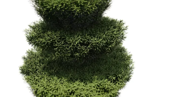 taxus-baccata-if-europeen-3D-fontaine-plante-arbre-ornemental-fastigié-taillé-jardin-vegetaux-studio-l4m-lumion-fbx