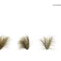 Anemanthele-lessoniana-3D-plante-stipa-arundinacea-ensemble-studio-l4m-lumion-fbx