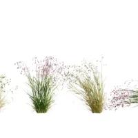 Briza-media-3D-plante-vegetaux-brize-ensemble-studio-l4m-lumion-fbx