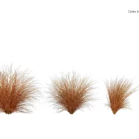 Carex-buchananii-3D-plante-vegetaux-laiche-buchanan-ensemble-studio-l4m-lumion-fbx