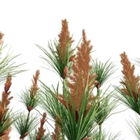 Elegia-capensis-3D-plante-vegetaux-prele-restio-feuilles-studio-l4m-lumion-fbx