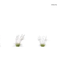 Schizachyrium-scoparium-3D-plante-herbe-balais-ensemble-studio-l4m-lumion-fbx
